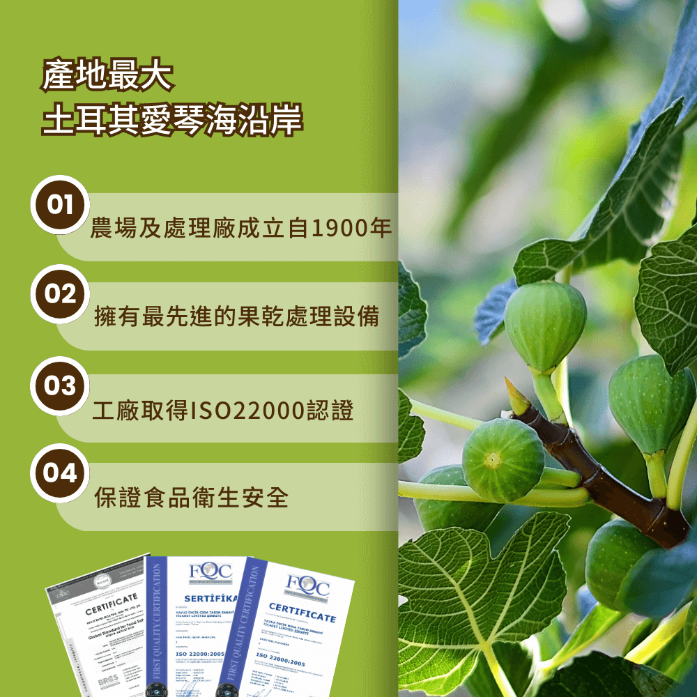純天然土耳其無花果 200G