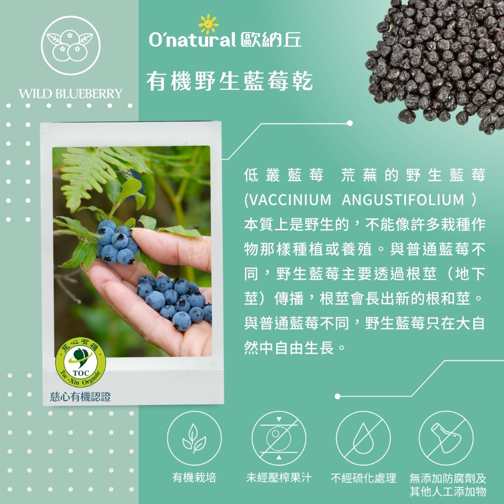 【有機】野生藍莓乾 80G/袋