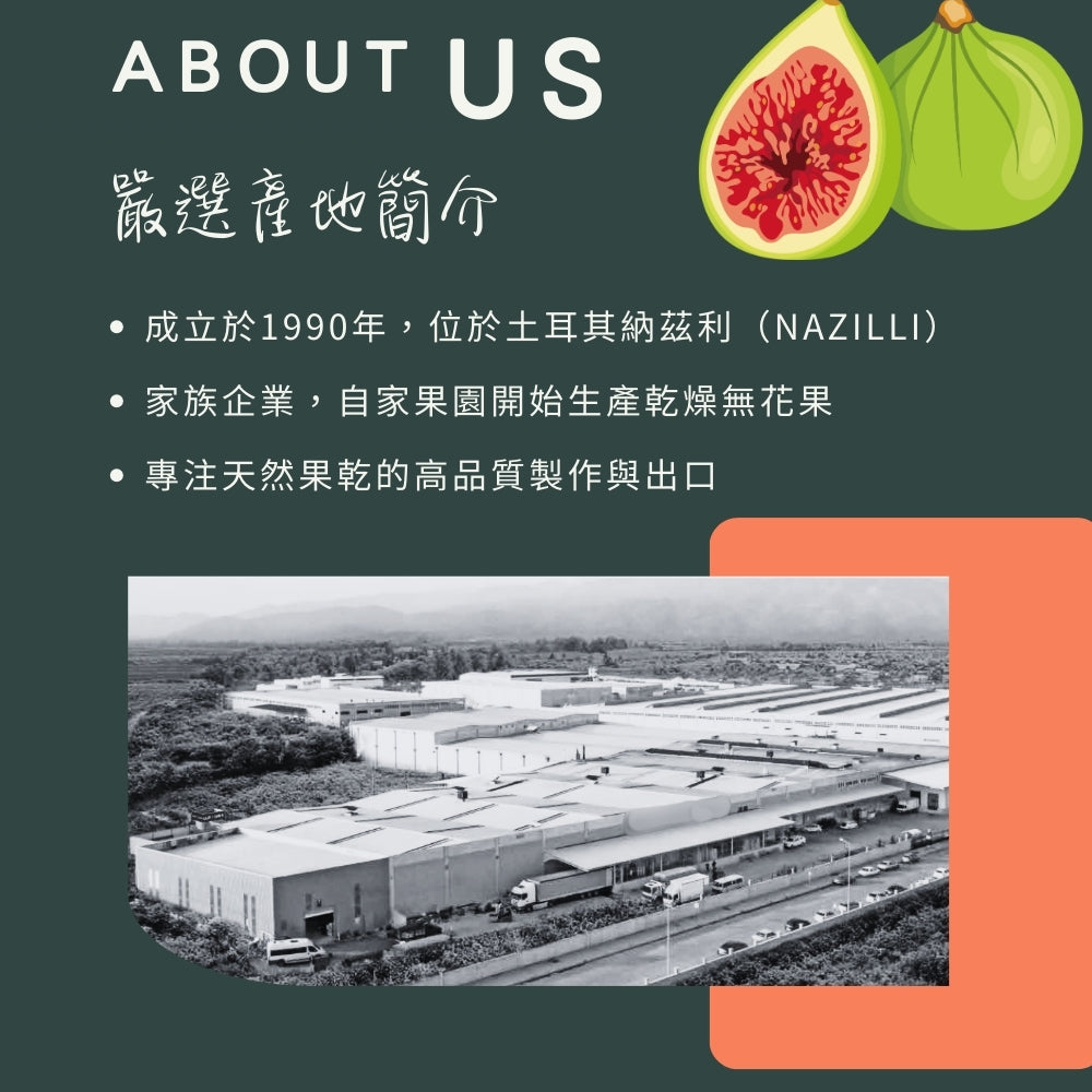 純淨土耳其無花果乾 100G/袋