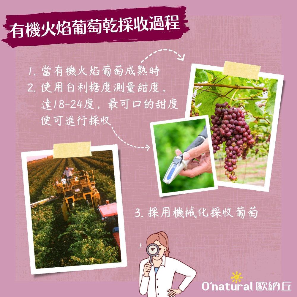袋裝_【有機】火焰葡萄乾 150g