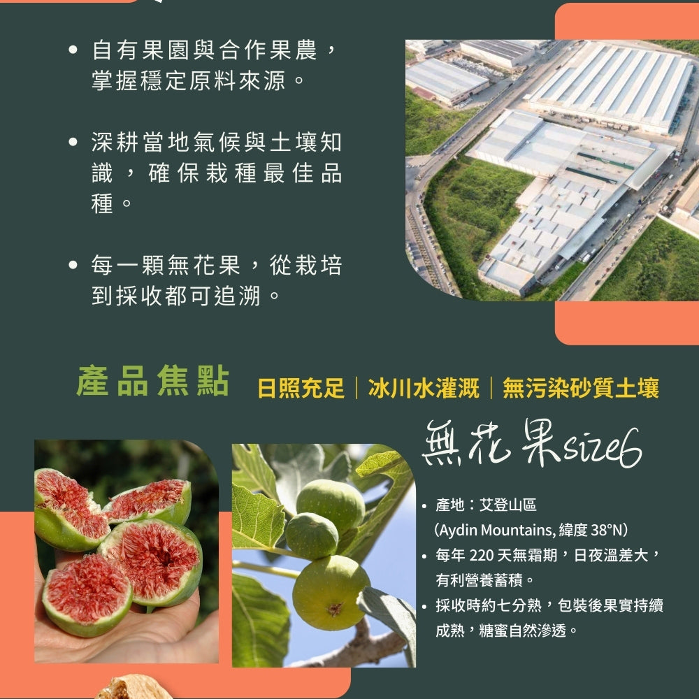 純淨土耳其無花果乾 100G/袋