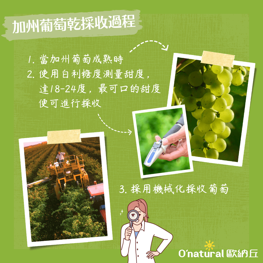 美國加州葡萄乾 360G