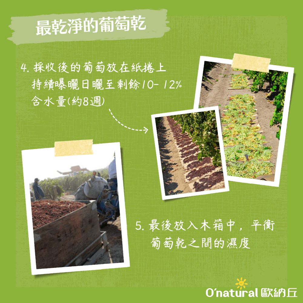 美國加州葡萄乾 360G