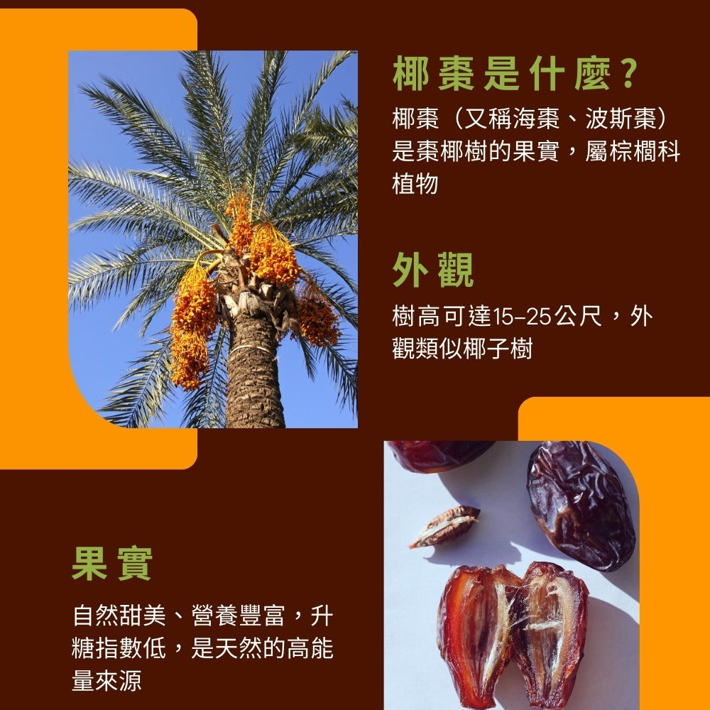 純淨去籽椰棗乾 100g(突尼西亞產地)