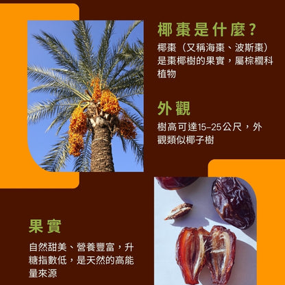 純淨去籽椰棗乾 100g(突尼西亞產地)